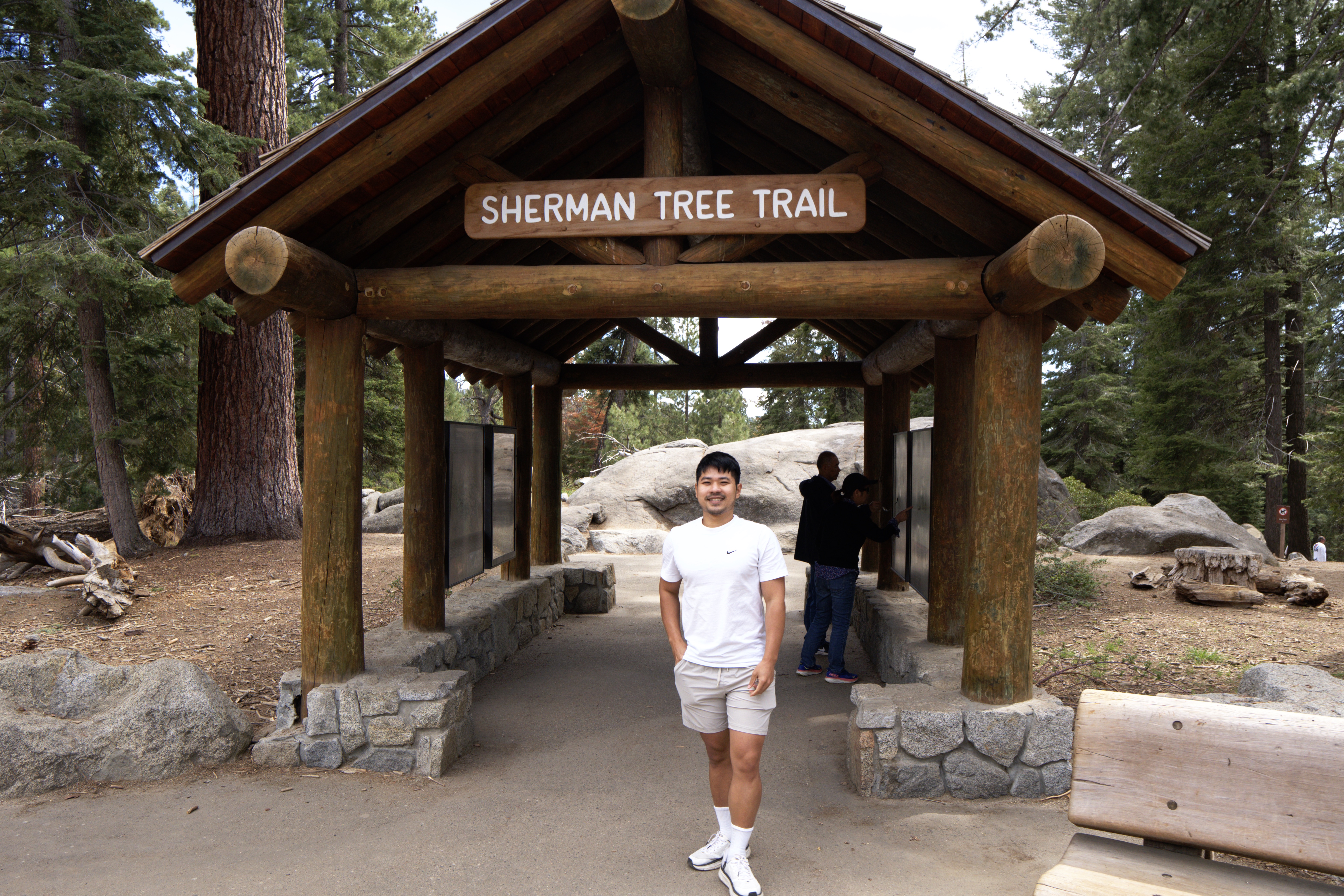 USA: ต้นไม้ที่ใหญ่ที่สุดในโลกที่ Sequoia National Park