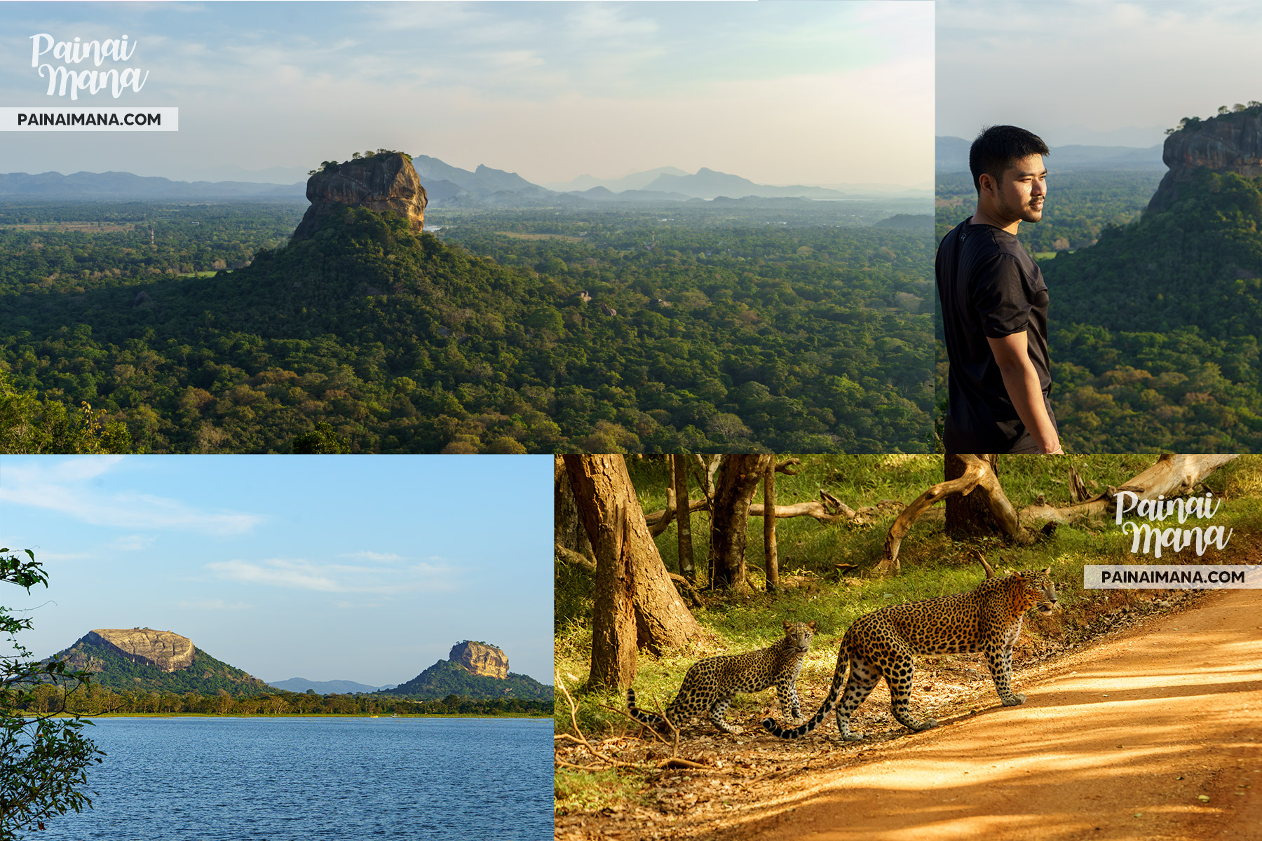 ตามหาคนถ่ายรูป ถ่ายวีดีโอที่ศรีลังกา