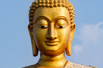 manachai for nature photos