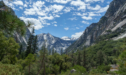 manachai for nature photos